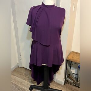 Ashley Stewart Plum Shirt w/ Tail - Size 18/20
